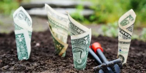 geld groeit in de grond geld groeit in de grond