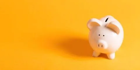 spaarvarken spaarvarken
